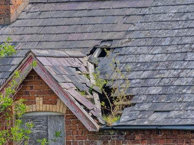 Professional ceiling water damage repair services in Raleigh - water damage cleanup